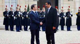 L'&eacute;mir du Qatar s'engage &agrave; investir 10 milliards d'euros en France 