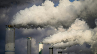 South Korea pledges to phase out coal plants at COP30