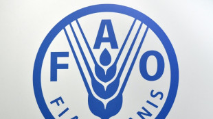 El comercio mundial de alimentos aumentar&aacute; un 2,5% en 2024, seg&uacute;n FAO