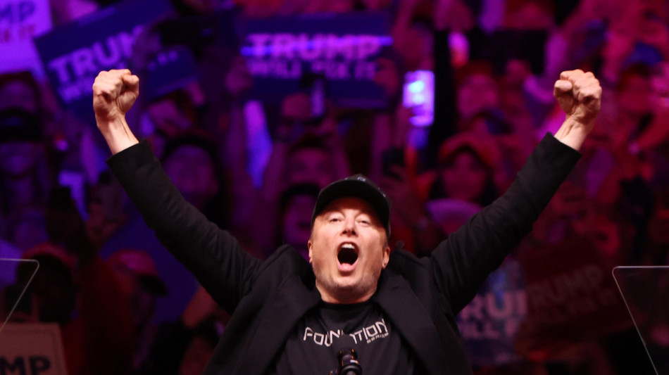 Musk a gamba tesa, 'solo l'Afd pu&ograve; salvare la Germania'