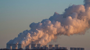 Gr&uuml;nen-Chefin Lang dringt trotz Energiekrise auf Vorziehen des Kohleausstiegs