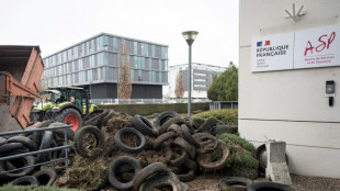 Des agriculteurs mobilis&eacute;s pr&egrave;s de Toulouse pour le versement de leurs aides PAC