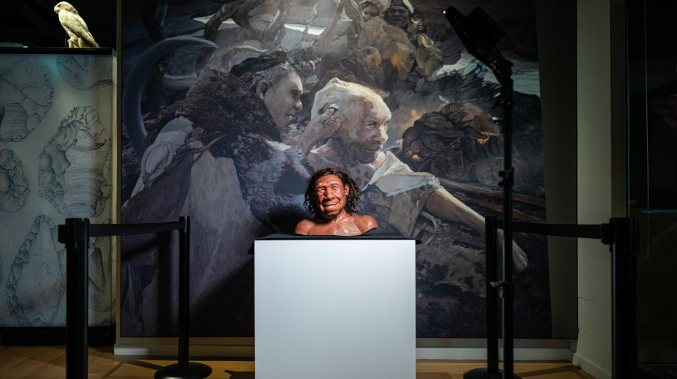 Su un Neanderthal una delle pi&ugrave; antiche prove di un attacco letale
