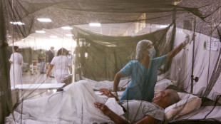 "Tem&iacute;a perder a mis beb&eacute;s" por el dengue, dice una embarazada en Per&uacute;