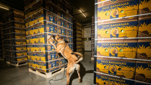 A Anvers, les ports europ&eacute;ens s'allient contre le trafic de drogue