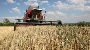 Getreide-Beschr&auml;nkungen: Ukraine klagt vor WTO gegen Polen, Slowakei und Ungarn