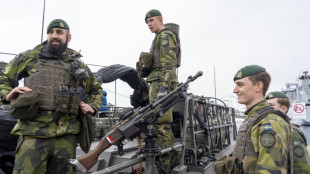 "Ca valait le coup d'attendre" : l'arm&eacute;e su&egrave;doise salue son entr&eacute;e dans l'Otan