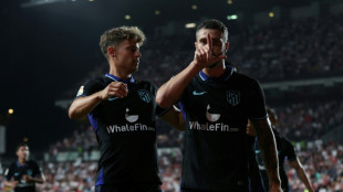 Atletico beat Rayo to close in on Real Madrid