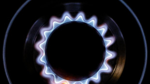 Il gas apre poco mosso sul mercato di Amsterdam