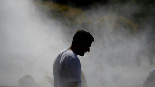 France presses ahead with music festivals despite extreme heat