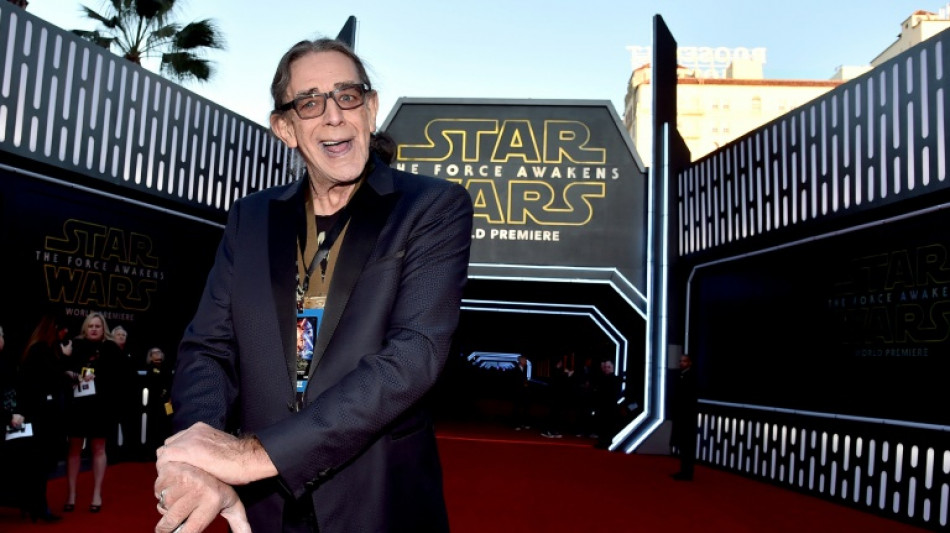 Une vente aux ench&egrave;res d'objets d'un acteur de Star Wars abandonn&eacute;e &agrave; la demande de sa veuve