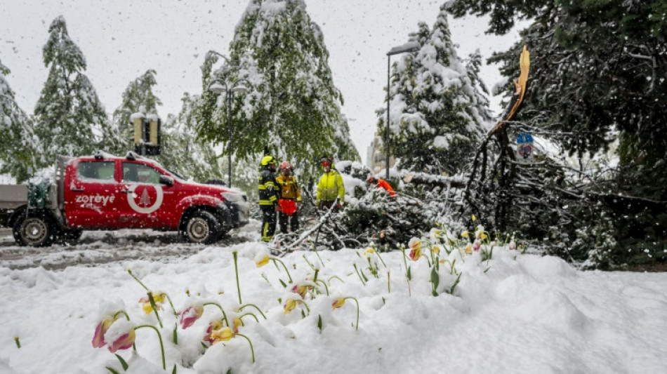 Heftige Schneefälle in den Alpen: Verkehrschaos in Italien, Frankreich und der Schweiz