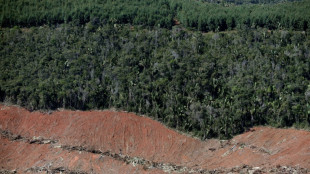 Au Br&eacute;sil, la d&eacute;forestation ravage aussi la For&ecirc;t atlantique 