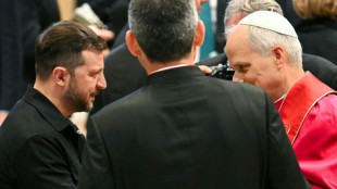 El papa recibió a Zelenski, presidente de "la Ucrania martirizada"