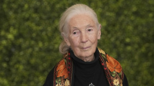 La reconocida experta en primates Jane Goodall muere a los 91 años