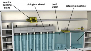 Arrigoni (Gse), nucleare e rinnovabili binomio fondamentale