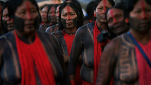 Ind&iacute;genas acampan en Brasilia contra Bolsonaro: "La Amazon&iacute;a no puede morir"
