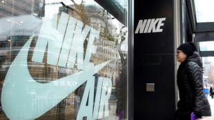 Higher costs dent Nike profits 