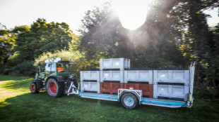 Le changement climatique va chambouler la g&eacute;ographie du vin, souligne une &eacute;tude