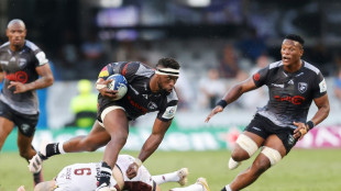 South Africans storm Champions Cup quarters with added bite