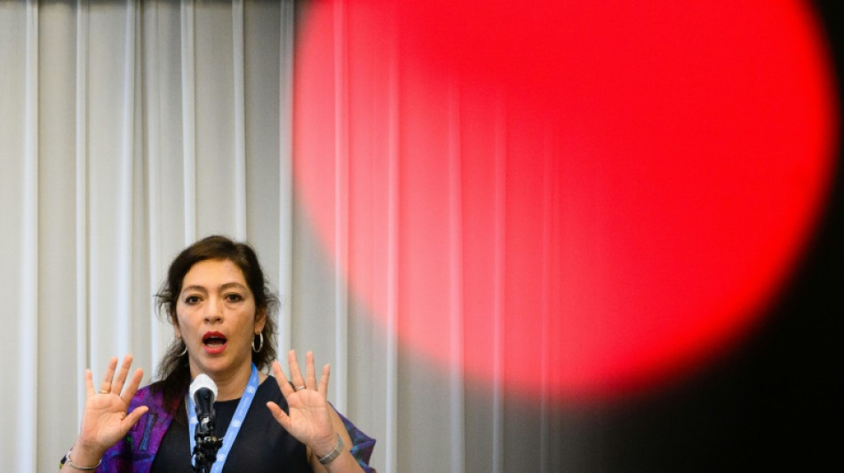 Corea del Norte asegura que la nueva relatora de la ONU es un "t&iacute;tere de EEUU"