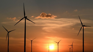Gr&uuml;ne fordern auf Klausur Turbo f&uuml;r &Ouml;kostrom