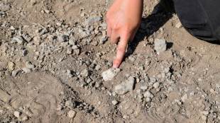 Un myst&eacute;rieux pied fossilis&eacute; d&eacute;couvert en Ethiopie met sous les projecteurs un contemporain de Lucy