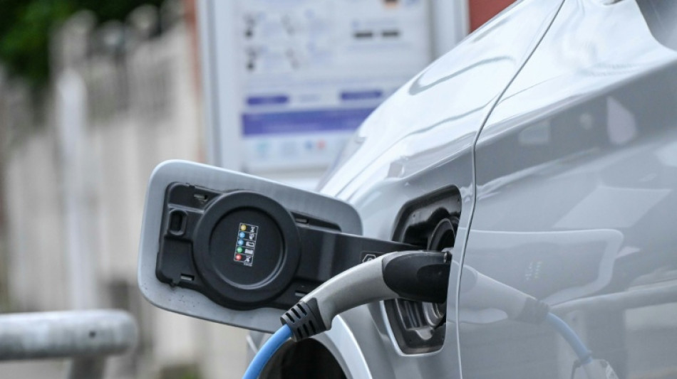 Most EU carmakers on track to meet emission targets: study