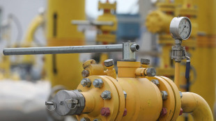 Il gas parte in leggero ribasso a 34,2 euro al Megawattora