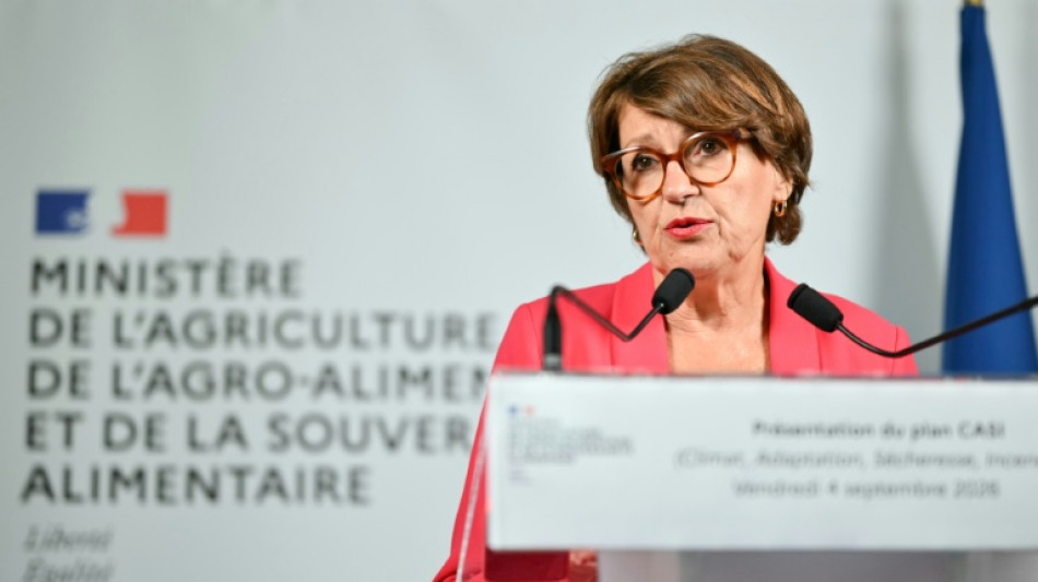 Assurance, aides directes, cotisations: que contient le plan d'urgence pour l'agriculture