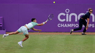 Alcaraz up for grass-court challenge despite Queen's scare