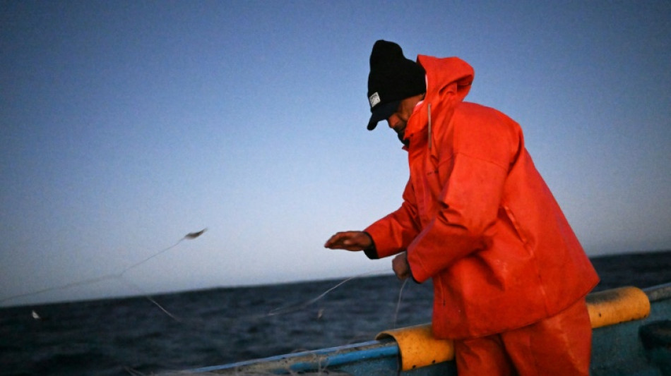 Missing merluza: Chile's battle to save its favorite catch
