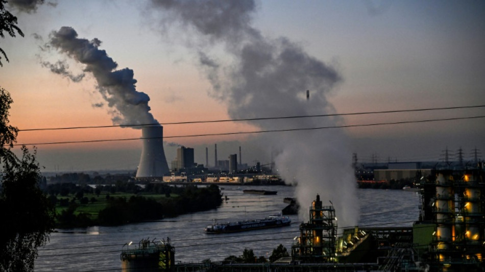 Geld pro eingesparter Tonne CO2: Staatliche F&ouml;rderung f&uuml;r Industrieinvestitionen