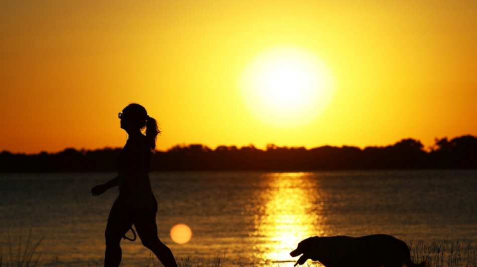 Till death do us bark: Brazilian state lets pets be buried with owners