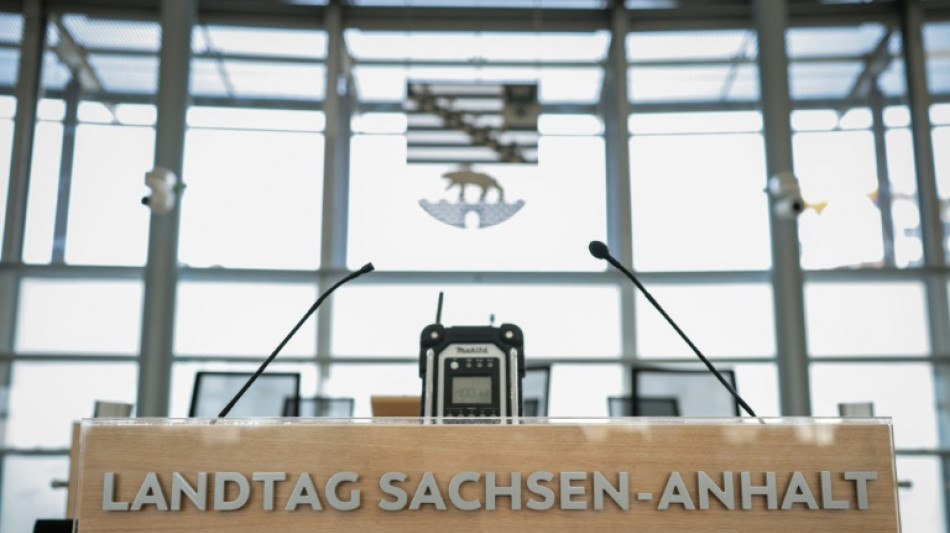 Industrie warnt vor AfD-Regierung in Sachsen-Anhalt