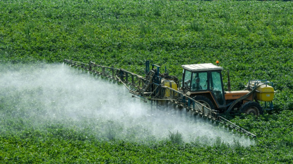 Un peu plus de pesticides utilis&eacute;s dans les champs proches de parcelles bio