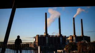 German economy in 'deepest crisis' of post-war era: industry group