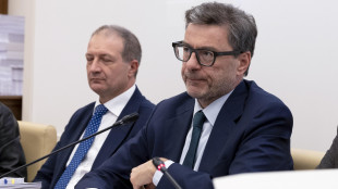 Giorgetti, 'su manovra massacrati da chi può farlo'