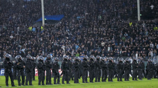 DFB-Kontrollausschuss untersucht Ausschreitungen in Mannheim