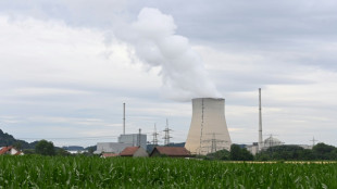Lemke schlie&szlig;t erneute Verschiebung des Atomausstiegs aus