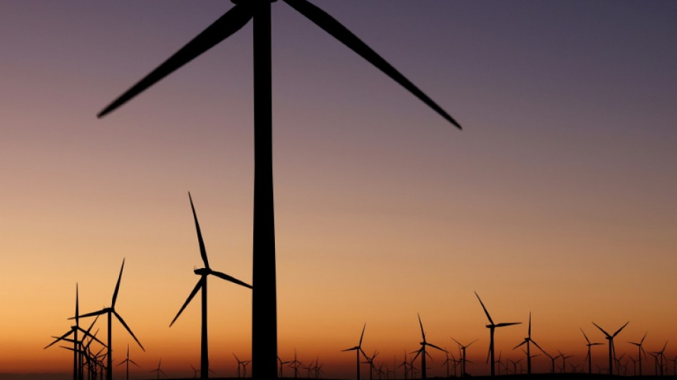 Com Trump de volta ao poder, energia e&oacute;lica vive incerteza nos EUA