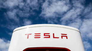 Las entregas de Tesla caen en el primer trimestre y su acci&oacute;n baja