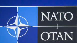 USA begr&uuml;&szlig;en Zustimmung der T&uuml;rkei zu Nato-Beitritt Finnlands