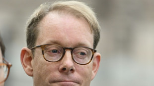 Baerbock empf&auml;ngt schwedischen Au&szlig;enminister Billstr&ouml;m in Berlin