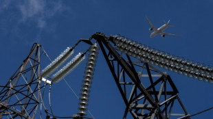 La reforma del mercado de electricidad, un complejo desaf&iacute;o para la UE