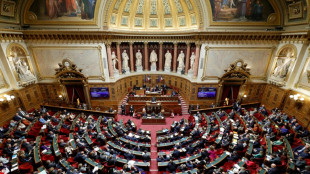 Le S&eacute;nat termine son marathon budg&eacute;taire en adoptant un texte remani&eacute;