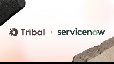 Tribal Partners with ServiceNow to Empower Enterprise Teams to Build and Deploy Apps & Agents