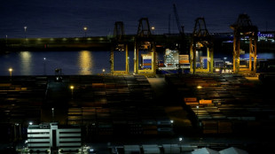 Confiscan en Espa&ntilde;a cuatro toneladas de coca&iacute;na escondidas en arroz llegado de Paraguay