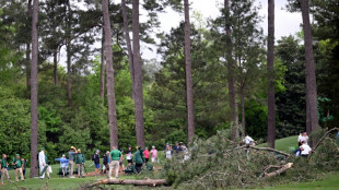 Three trees fall near spectators before storm halts Masters