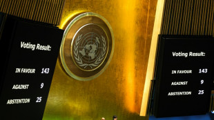 &iquest;Qu&eacute; pa&iacute;ses reconocen al Estado palestino?
